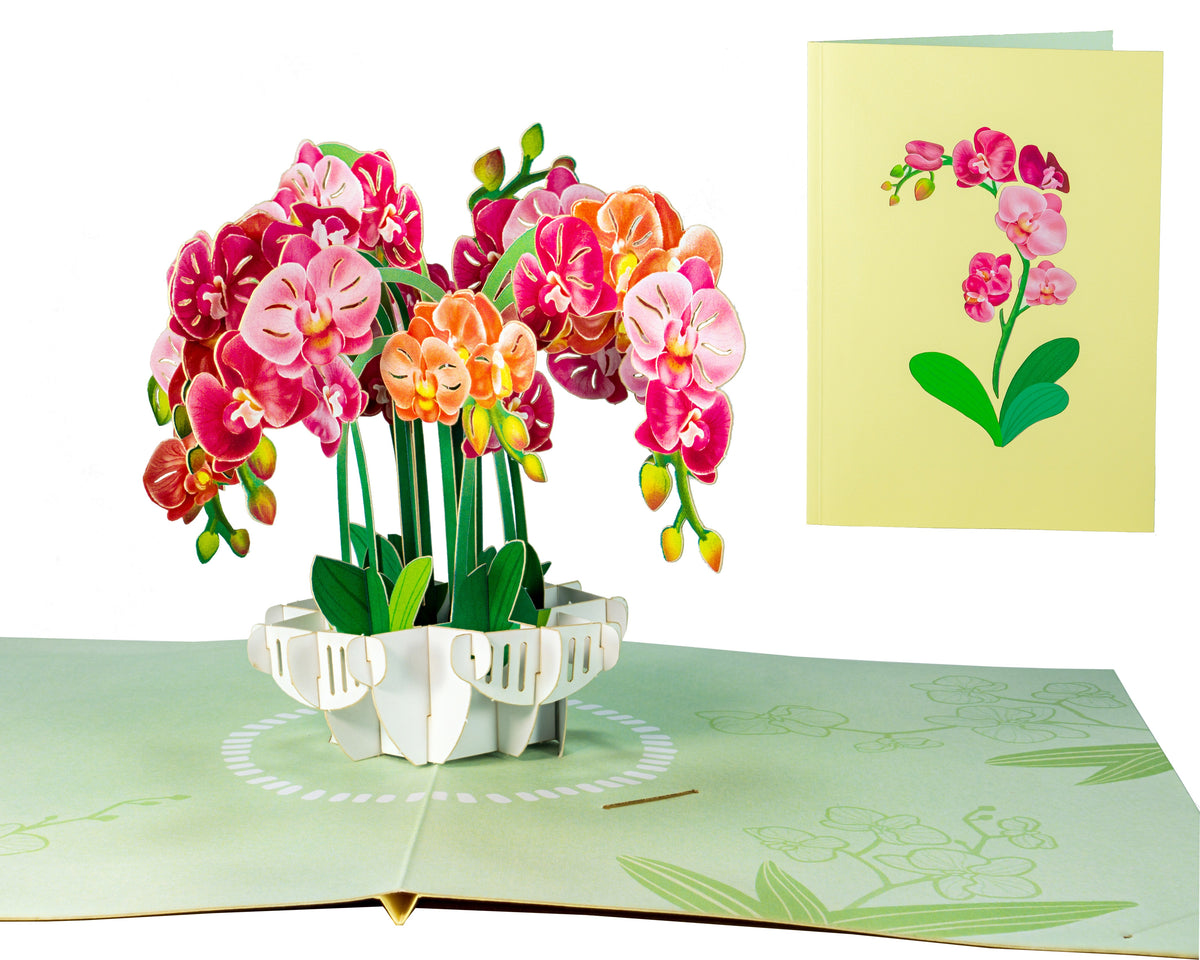 Orchid Flower - WOW 3D Pop Up Greeting Card – WOW Pop Up Card