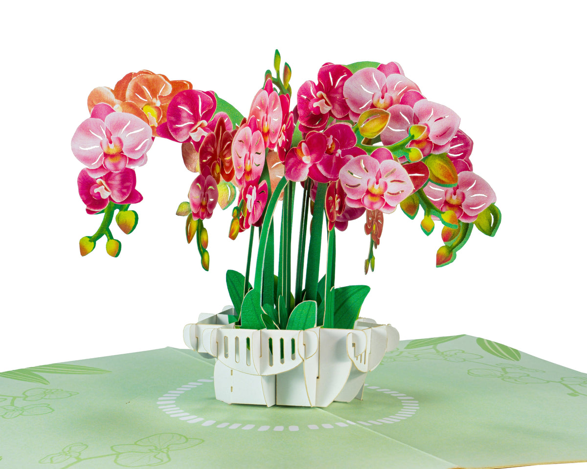 Orchid Flower - WOW 3D Pop Up Greeting Card – WOW Pop Up Card