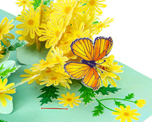 Load image into Gallery viewer, Yellow Garden Daisy - WOW 3D Pop Up Greeting Card
