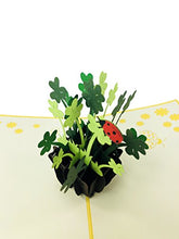Load image into Gallery viewer, Shamrock Vase Good Luck - WOW 3D Pop Up Card