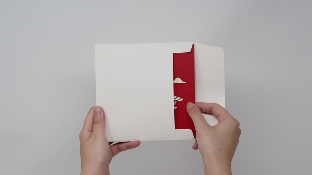 Red Airplane - WOW 3D Pop Up Card - Image 3