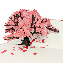 Load image into Gallery viewer, Cherry Blossom Tree - Color Pop Up Card