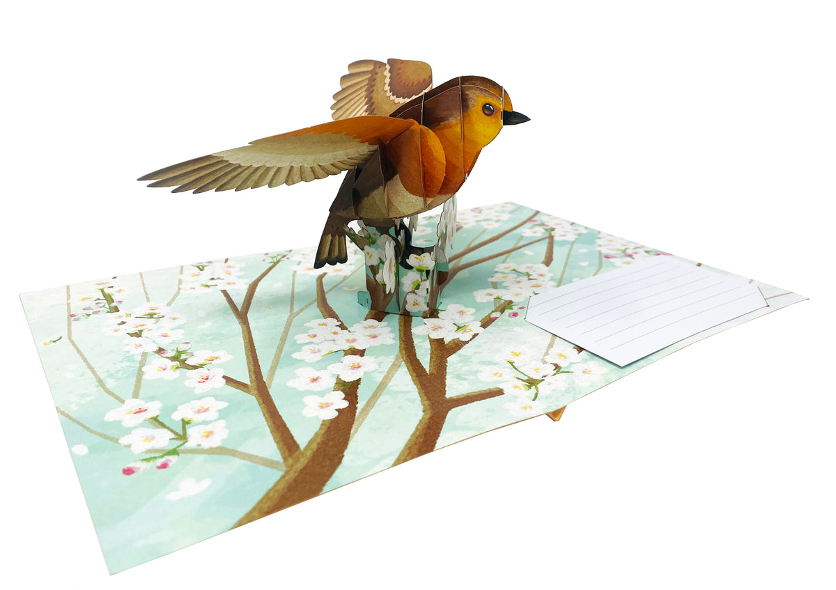 American Robin Bird - WOW 3D Pop Up Greeting Card - Image 2