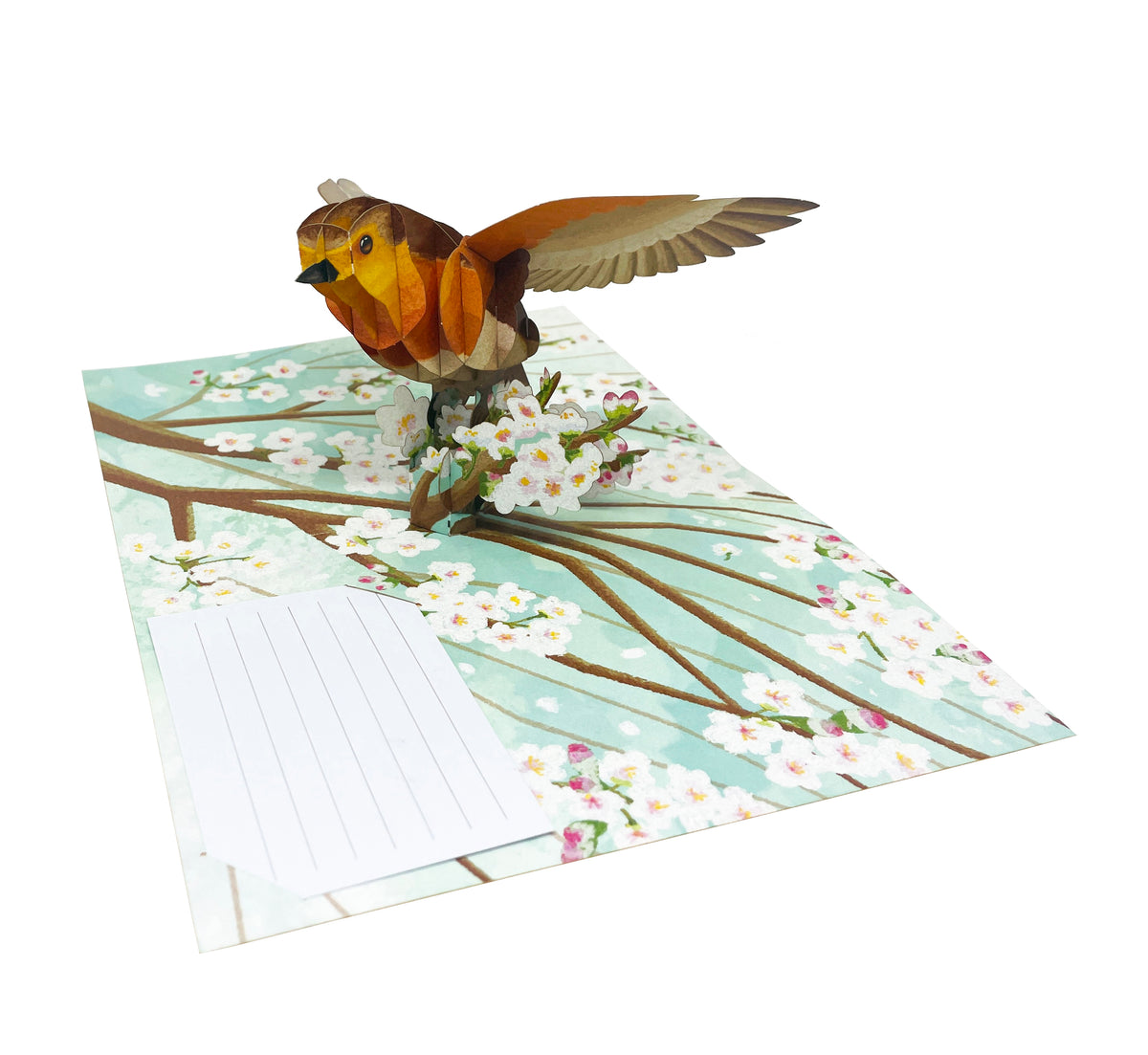 American Robin Bird - WOW 3D Pop Up Greeting Card - Image 3