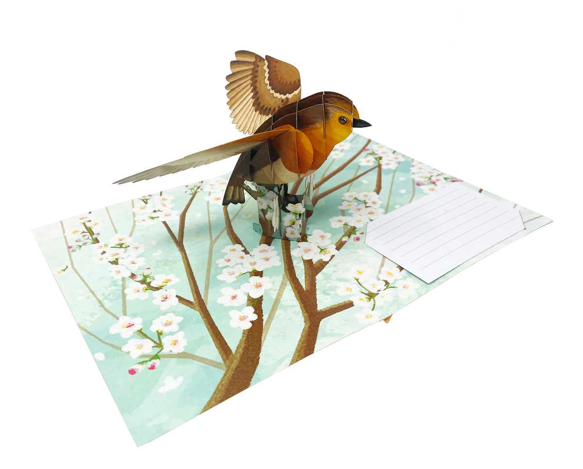 American Robin Bird - WOW 3D Pop Up Greeting Card - Image 4