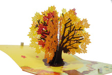 Load image into Gallery viewer, Autumn Maple Tree - WOW 3D Pop Up Card