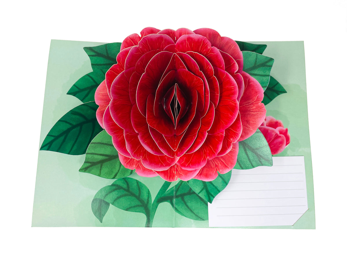 Red Camellia Gorgeous Flower - WOW 3D Pop Up Greeting Card – WOW Pop Up ...