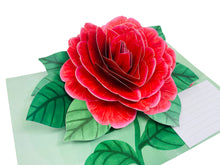 Load image into Gallery viewer, Red Camellia Gorgeous Flower - WOW 3D Pop Up Greeting Card