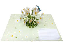 Load image into Gallery viewer, Daisy & Butterfly - WOW 3D Pop Up Greeting Card