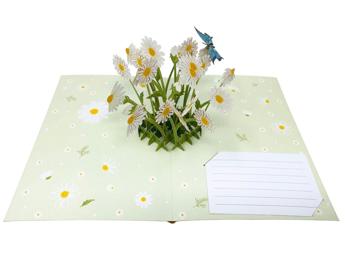 Daisy & Butterfly - WOW 3D Pop Up Greeting Card – WOW Pop Up Card