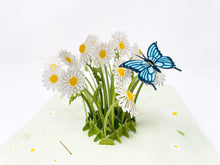 Load image into Gallery viewer, Daisy & Butterfly - WOW 3D Pop Up Greeting Card