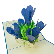 Load image into Gallery viewer, Iris Flower Vase - WOW 3D Pop Up Card

