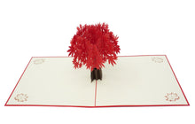 Load image into Gallery viewer, Red Maple Tree - WOW 3D Pop Up Card