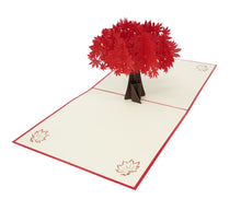 Load image into Gallery viewer, Red Maple Tree - WOW 3D Pop Up Card