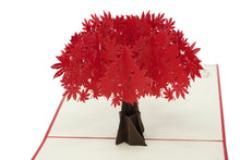 Load image into Gallery viewer, Red Maple Tree - WOW 3D Pop Up Card