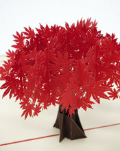 Load image into Gallery viewer, Red Maple Tree - WOW 3D Pop Up Card