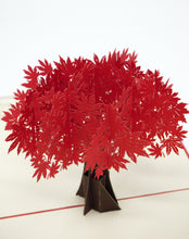 Load image into Gallery viewer, Red Maple Tree - WOW 3D Pop Up Card
