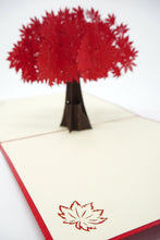 Load image into Gallery viewer, Red Maple Tree - WOW 3D Pop Up Card