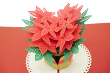 Load image into Gallery viewer, Poinsettia - Christmas Pop Up Card