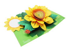 Load image into Gallery viewer, Shine bright like sunflowers - 3D Pop Up Card
