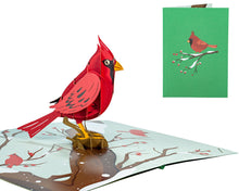 Load image into Gallery viewer, Cardinal Bird - WOW 3D Pop Up Greeting Card
