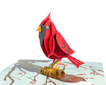 Load image into Gallery viewer, Cardinal Bird - WOW 3D Pop Up Greeting Card
