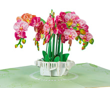 Load image into Gallery viewer, Orchid Flower - WOW 3D Pop Up Greeting Card
