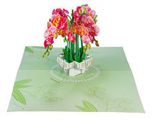 Load image into Gallery viewer, Orchid Flower - WOW 3D Pop Up Greeting Card
