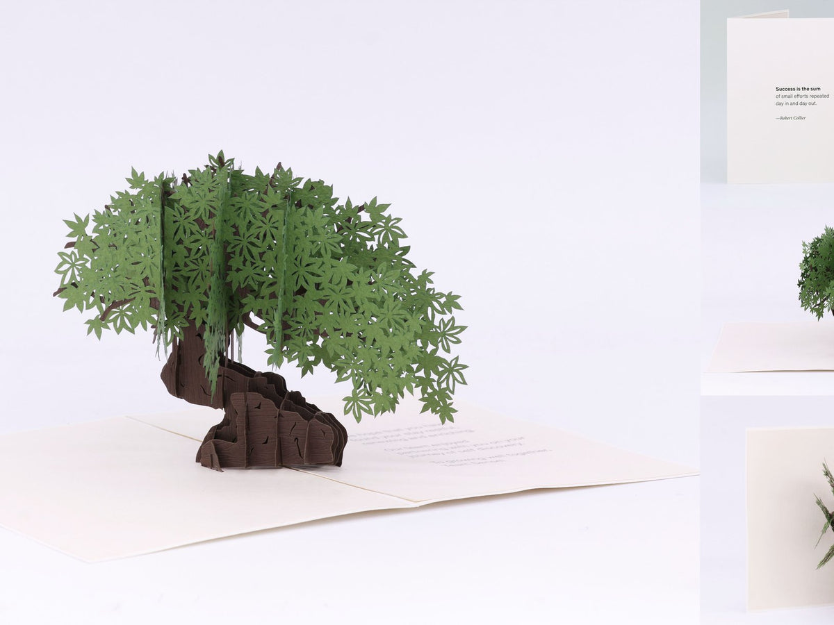 Four Seasons Sensei custom pop-up