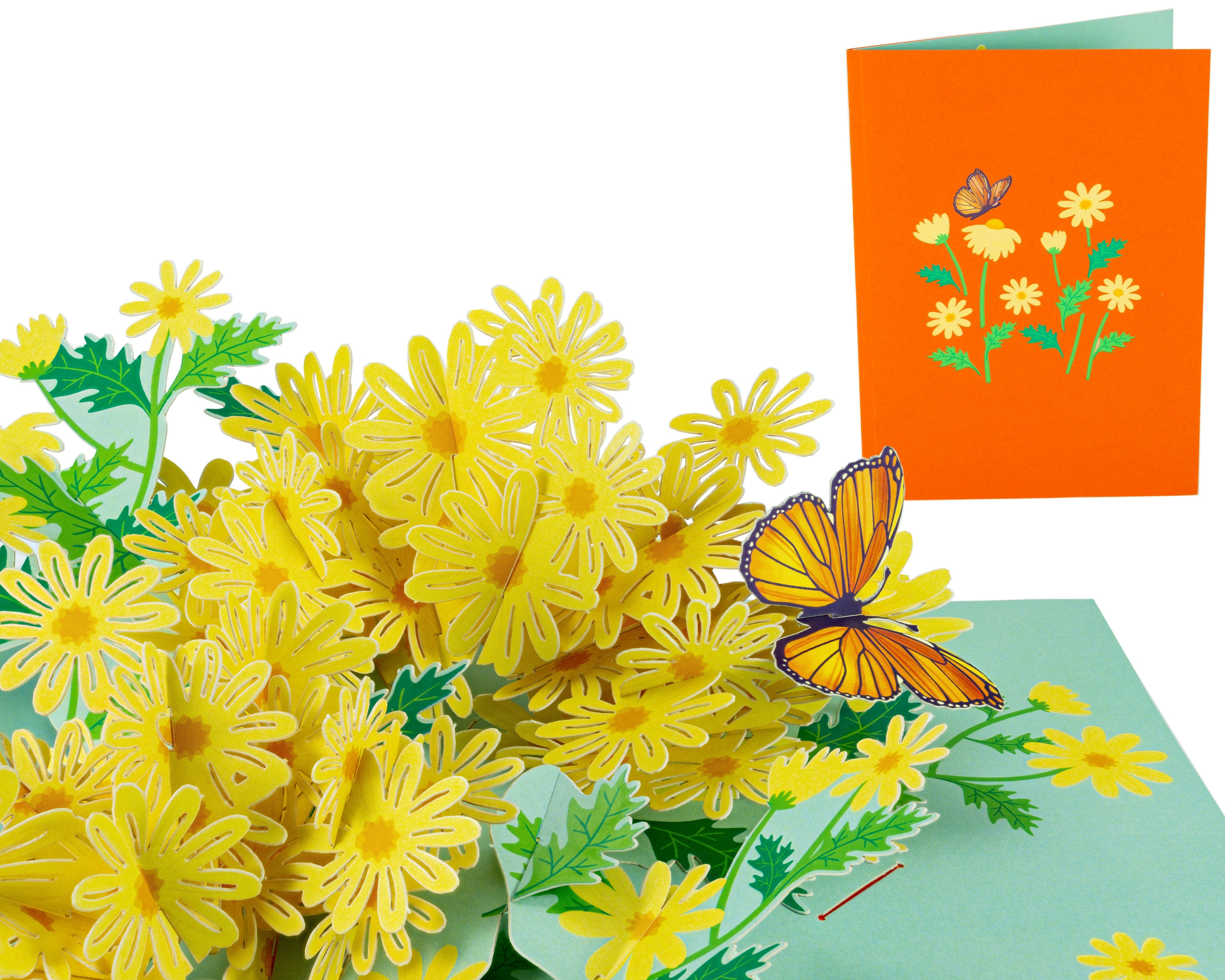 Yellow Garden Daisy - WOW 3D Pop Up Greeting Card – WOW Pop Up Card