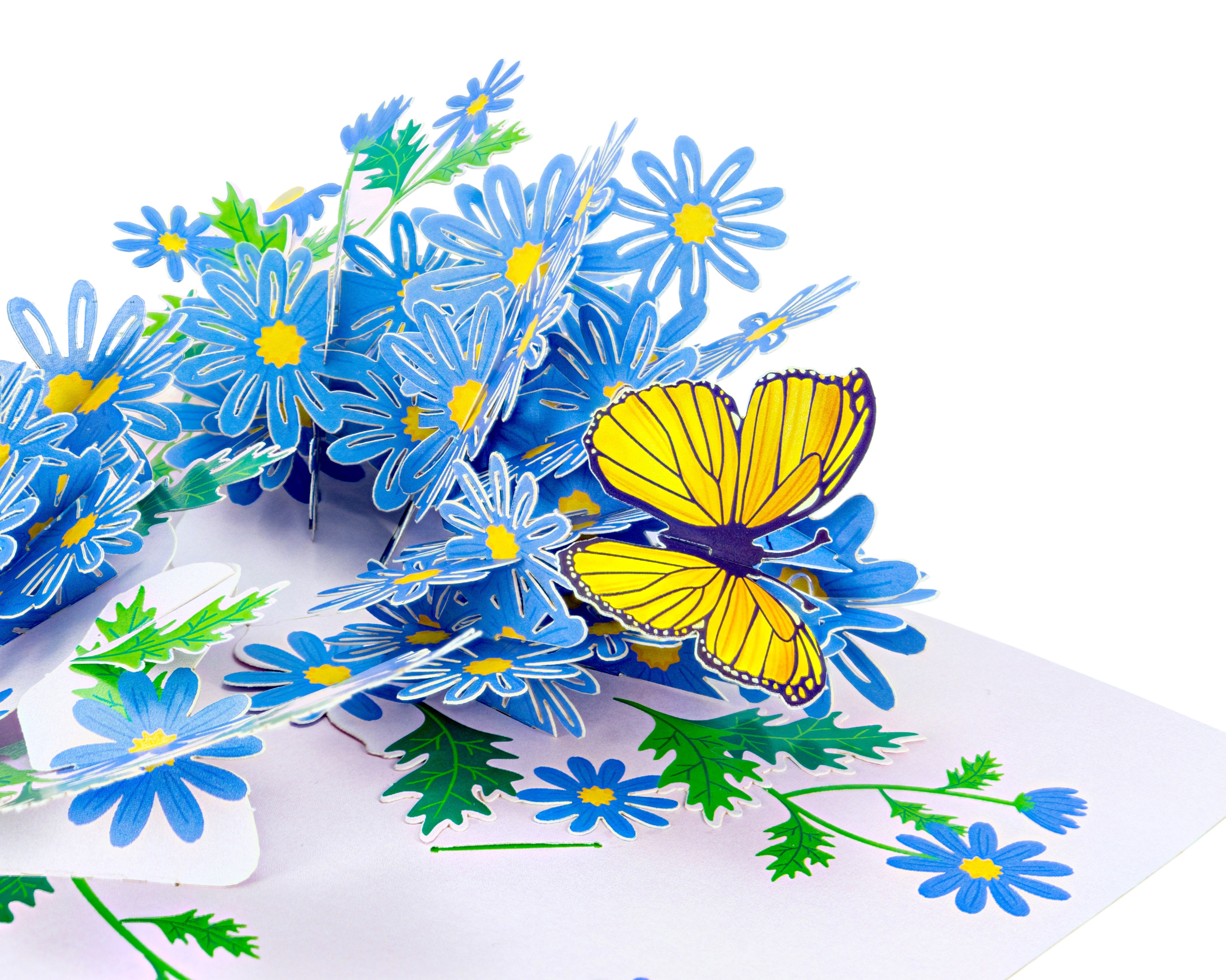 Swan River Daisy - WOW 3D Pop Up Greeting Card – WOW Pop Up Card