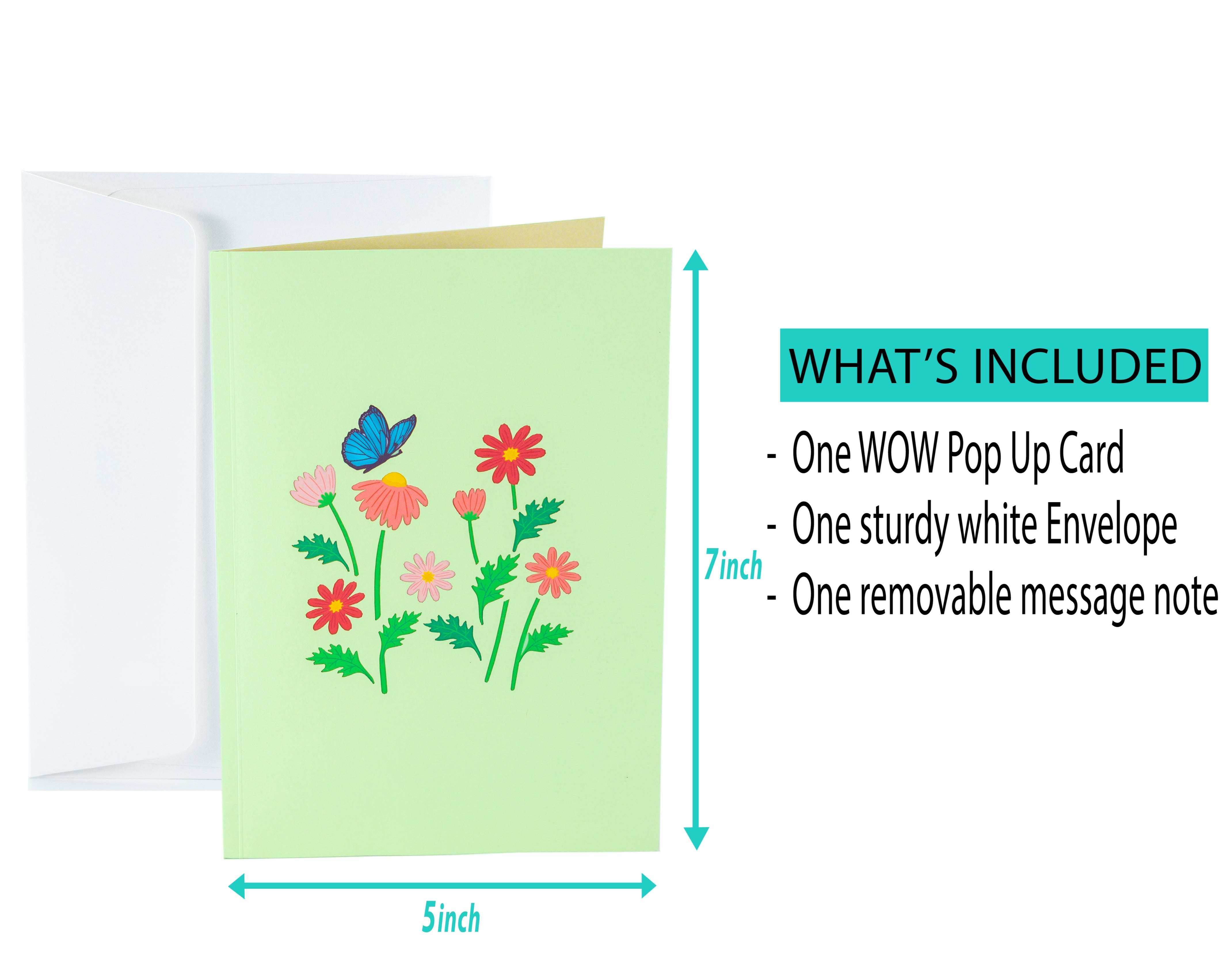 Marguerite Daisy - WOW 3D Pop Up Greeting Card – WOW Pop Up Card