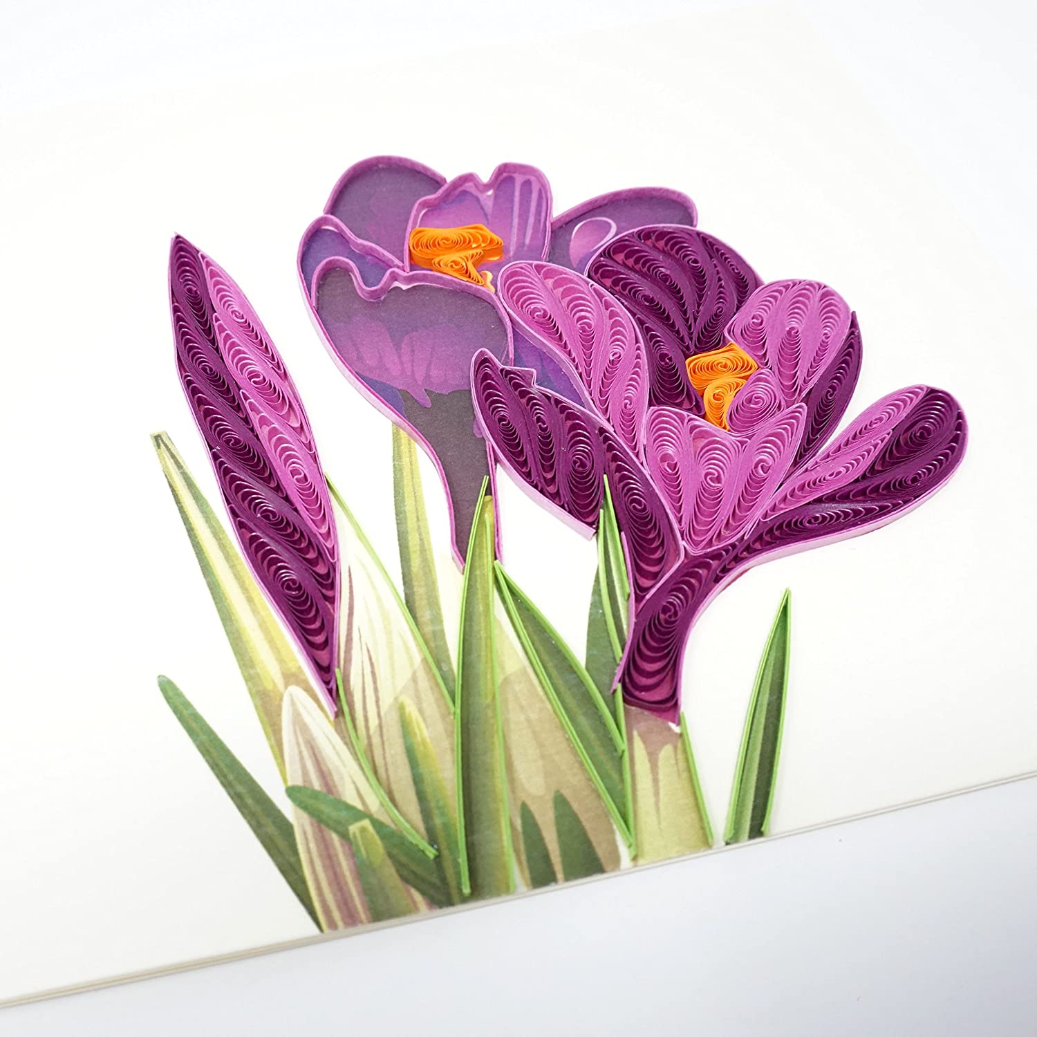 Crocus Flower Quilling Card – WOW Pop Up Card