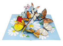 Load image into Gallery viewer, Gorgeous Butterflies - WOW 3D Pop Up Greeting Card
