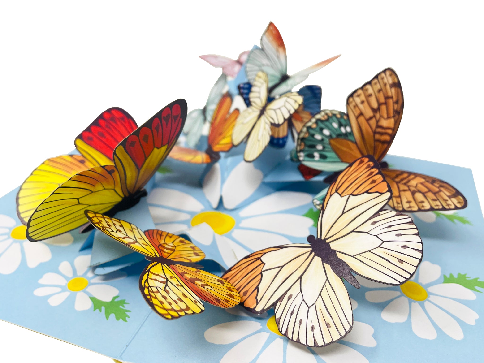 Butterfly Pop up Card, Butterfly 3D card, Blue Morpho Butterfly