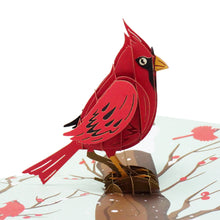 Load image into Gallery viewer, Cardinal Bird - WOW 3D Pop Up Greeting Card