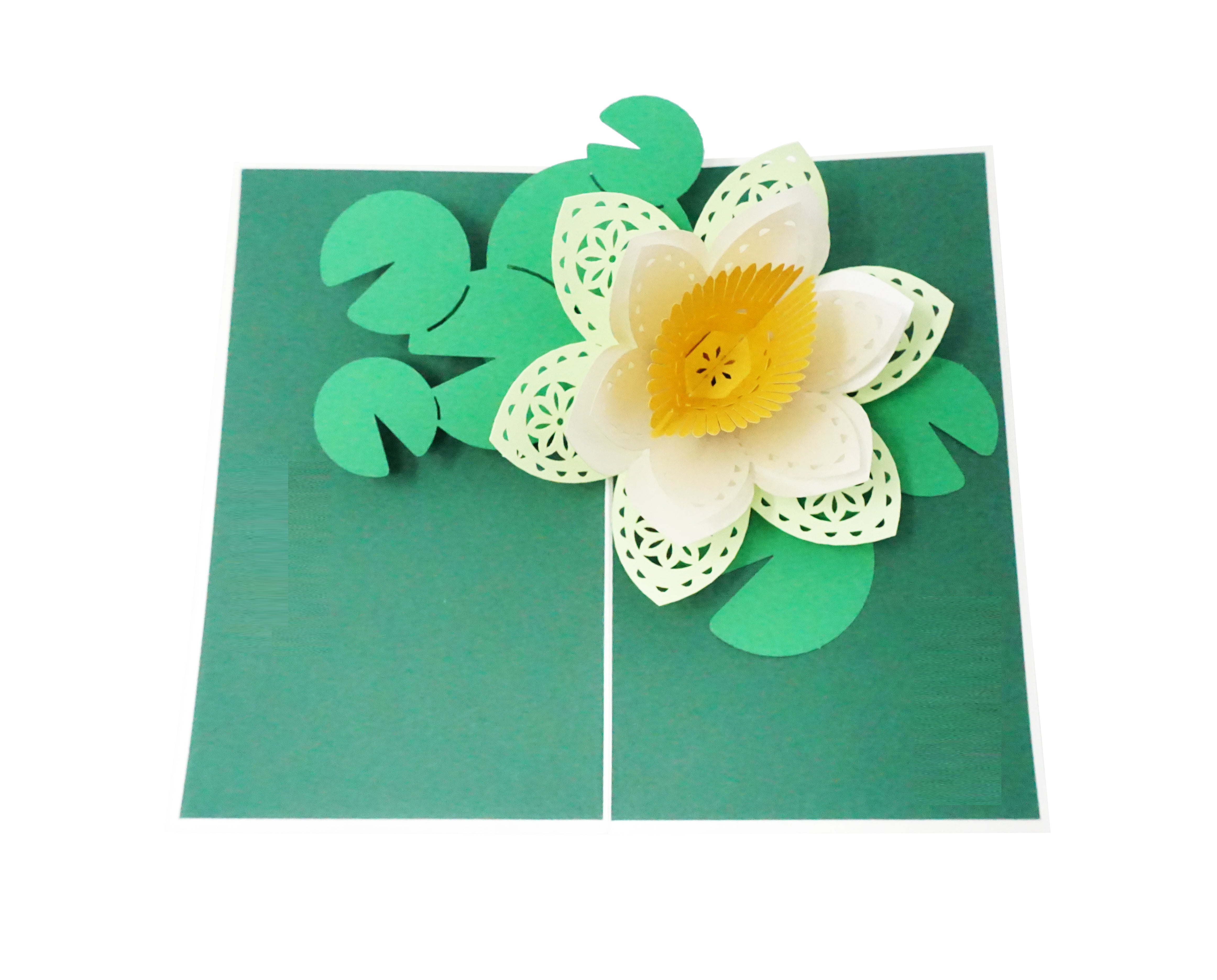 Lotus Flower - 3D Pop Up Greeting Card for All Occasions – WOW Pop Up Card