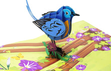 Load image into Gallery viewer, Eastern Bluebird - WOW 3D Pop Up Greeting Card