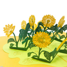 Load image into Gallery viewer, Wow Sun Flower - 3D Pop Up Greeting Card