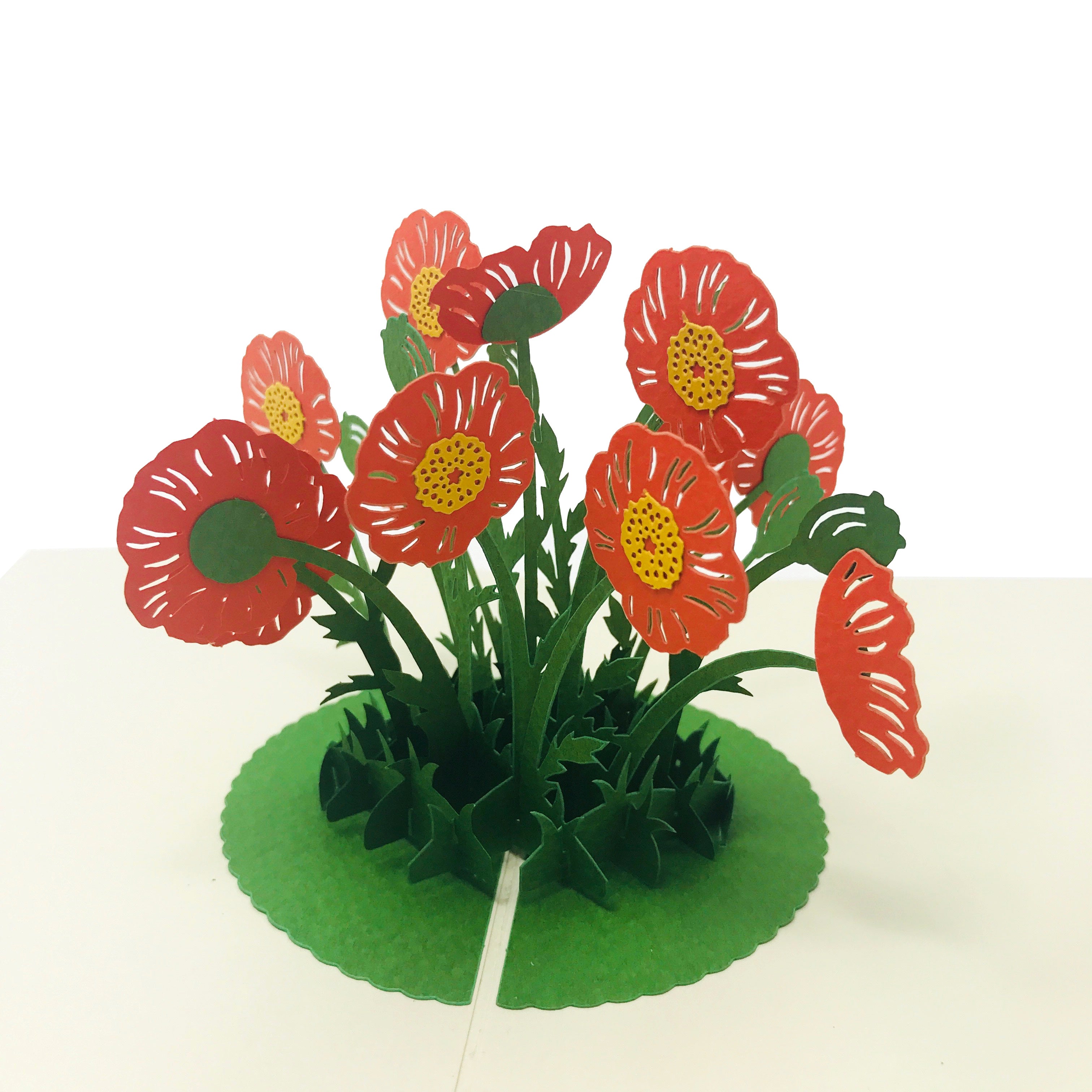 Wow Poppy Flower - 3D Pop Up Greeting Card – WOW Pop Up Card