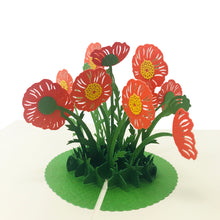 Load image into Gallery viewer, Wow Poppy Flower - 3D Pop Up Greeting Card
