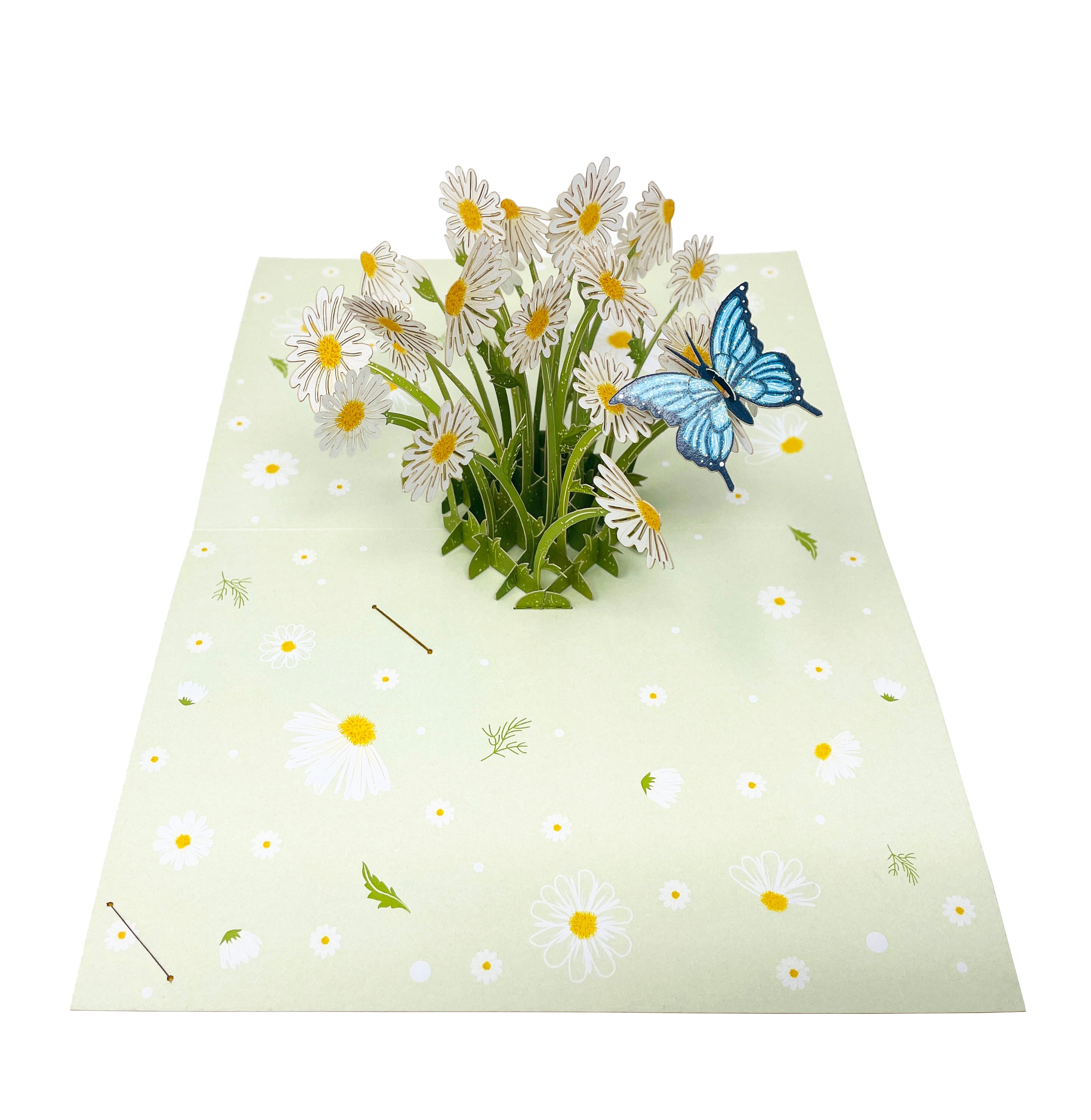Daisy & Butterfly - WOW 3D Pop Up Greeting Card – WOW Pop Up Card