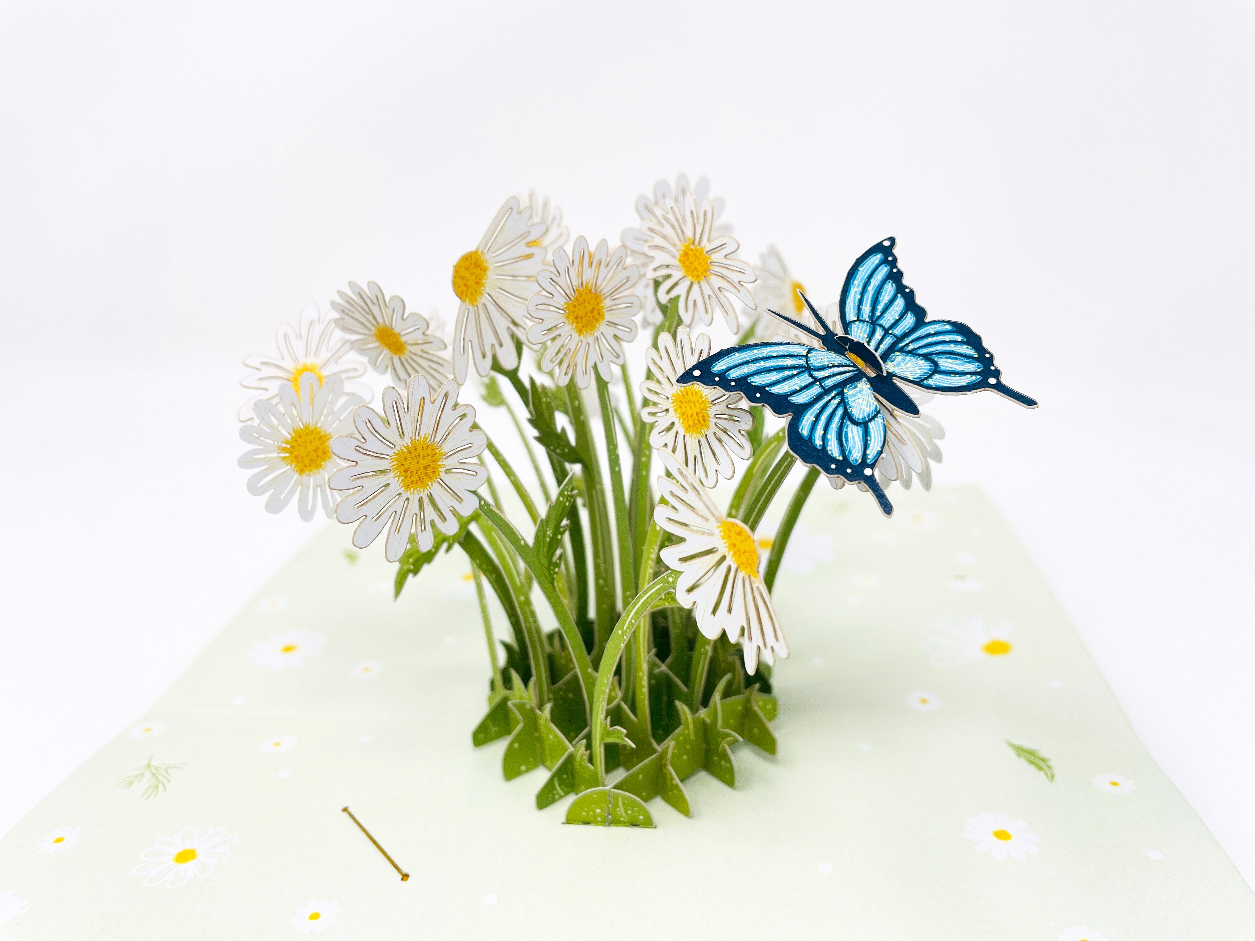 Daisy & Butterfly - WOW 3D Pop Up Greeting Card – WOW Pop Up Card