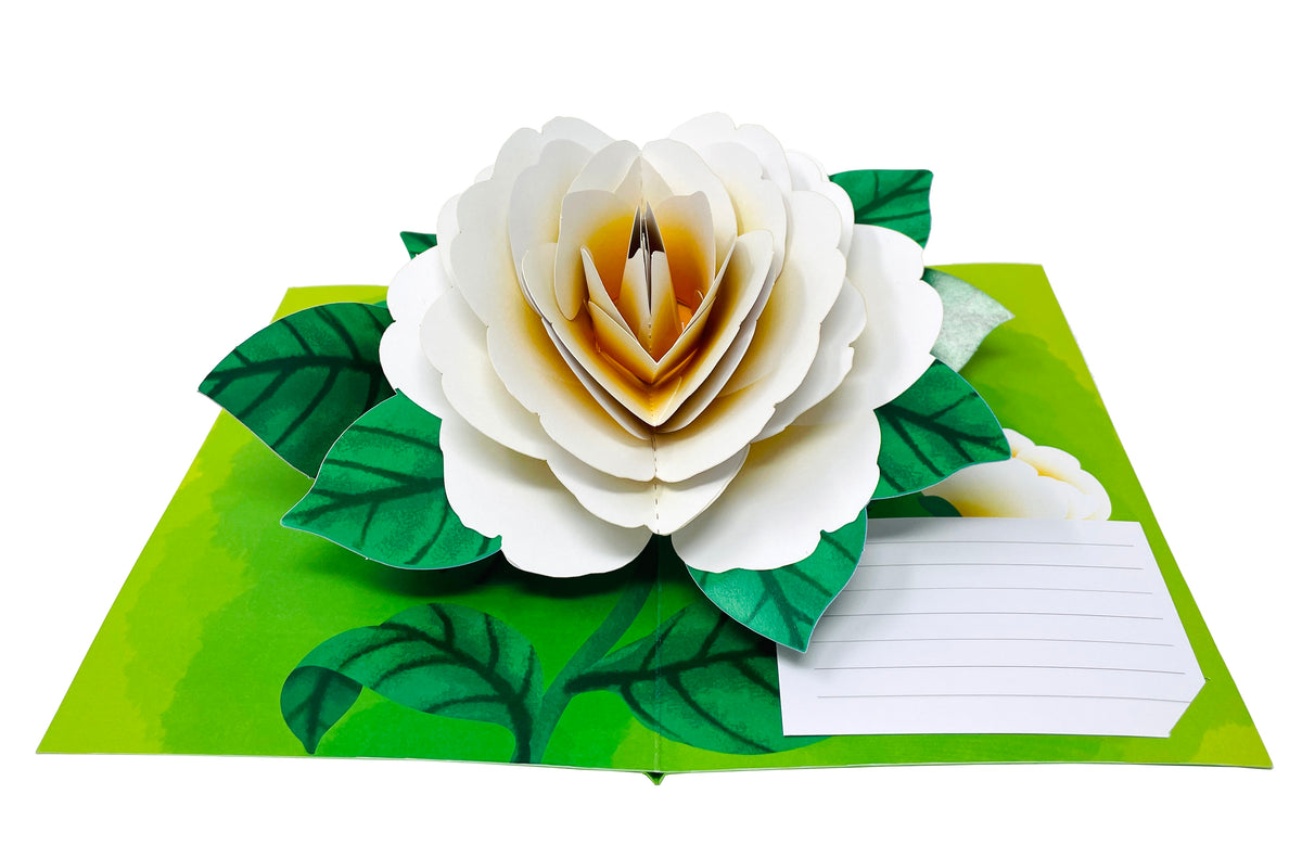 White Camellia Gorgeous Flower - WOW 3D Pop Up Greeting Card – WOW Pop ...