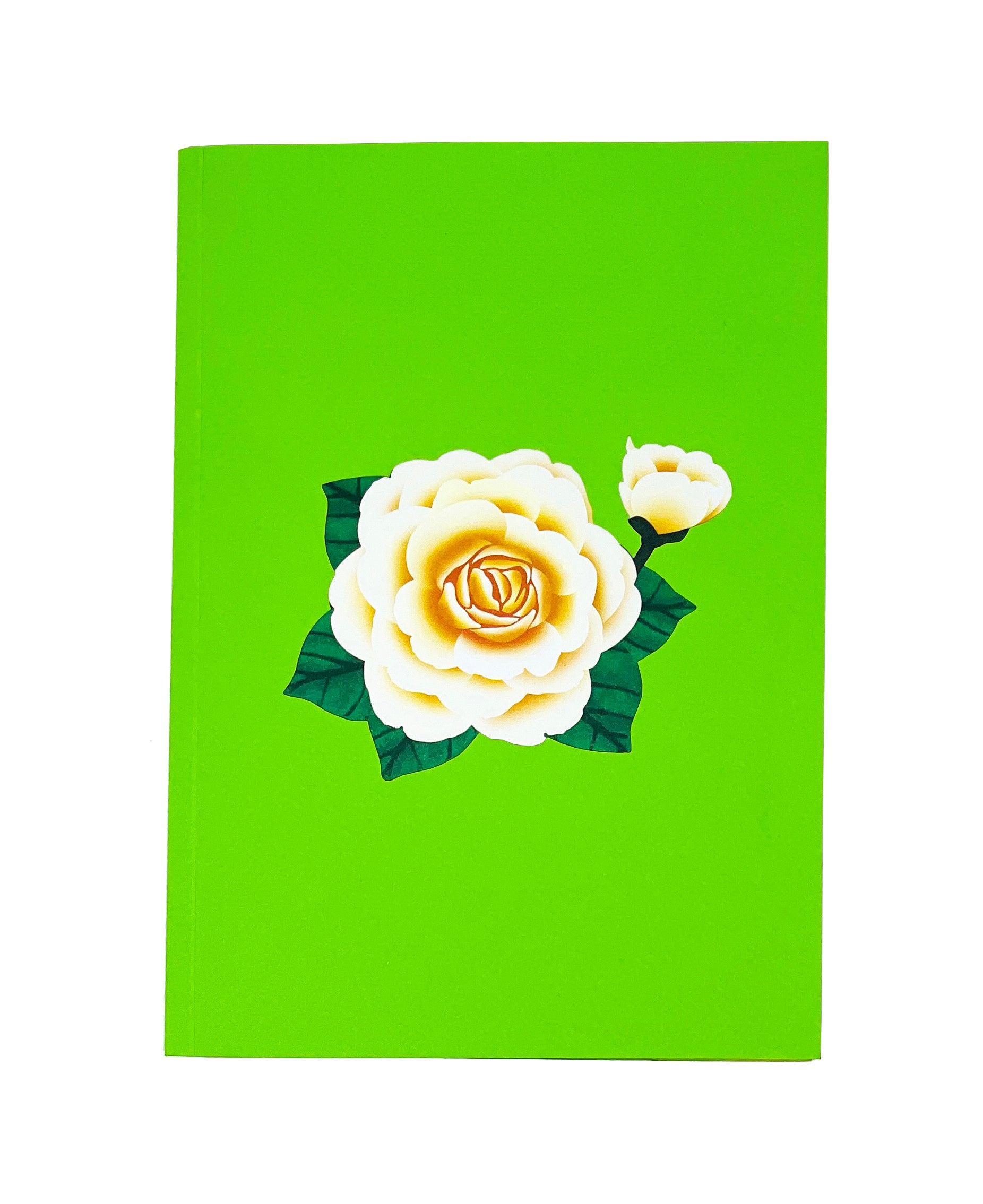 White Camellia Gorgeous Flower - WOW 3D Pop Up Greeting Card – WOW Pop ...